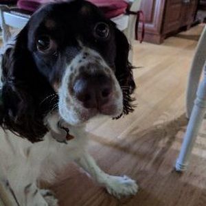 Meet your Posher, Mckenzie